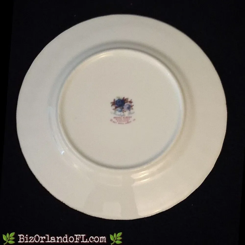 VINTAGE: Royal Albert 